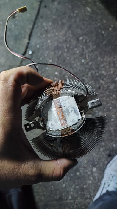 Comer zalman como novo