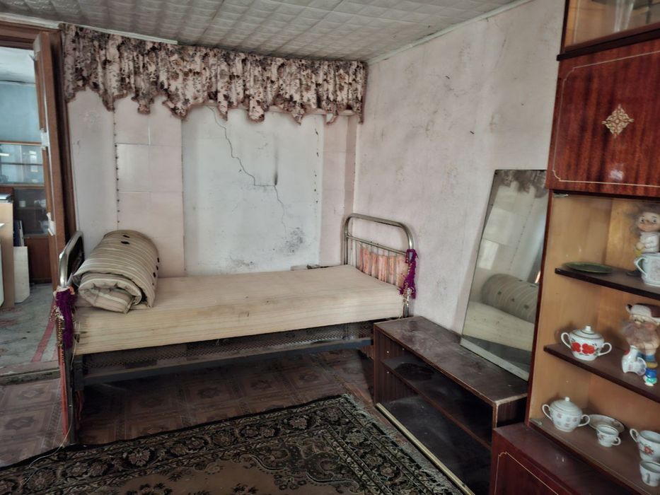 Продаж будинку Новоолександрівка, поруч з Сурсько-Литовським