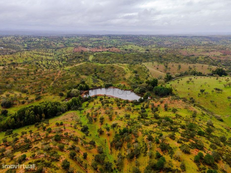 Herdade com moradia para recuperar [ barragem e ribeiro ]