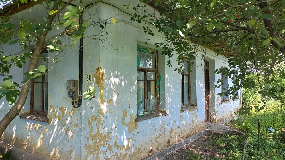 Будинок з ділянкою