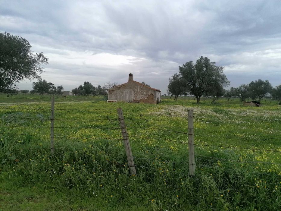 Quinta 12500m2 Alvalade