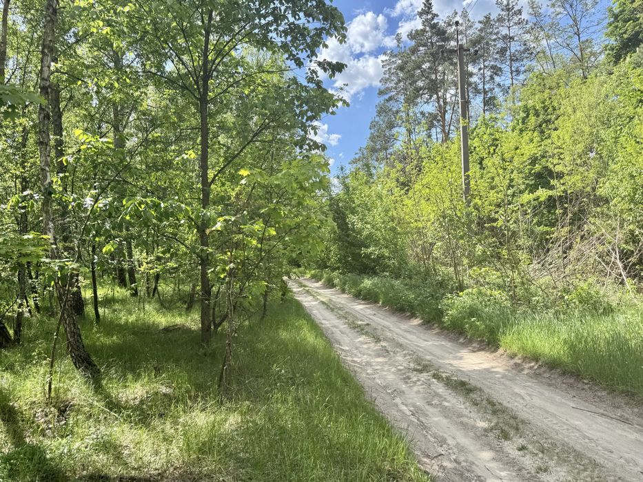 Земля у лісі під забудову Дзвінкове 3,25 га!
