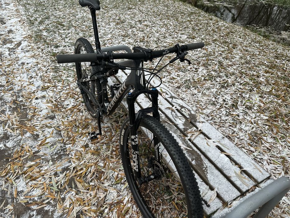 Specialized Epic Comp Brain 29 Carbon XL