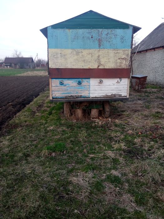 Пасіка. Вулики. Інвентар