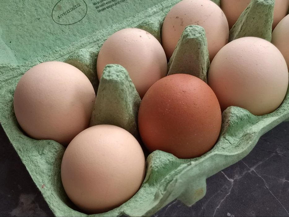 Sprzedam jajka wiejskie