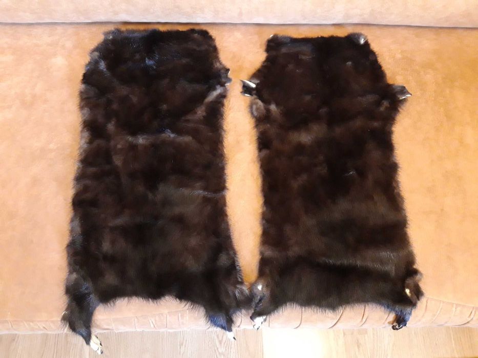 Норки шкурки отделанные