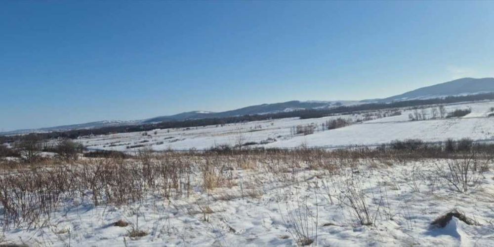 Widokowa działka orna 0.73ha (73ar)