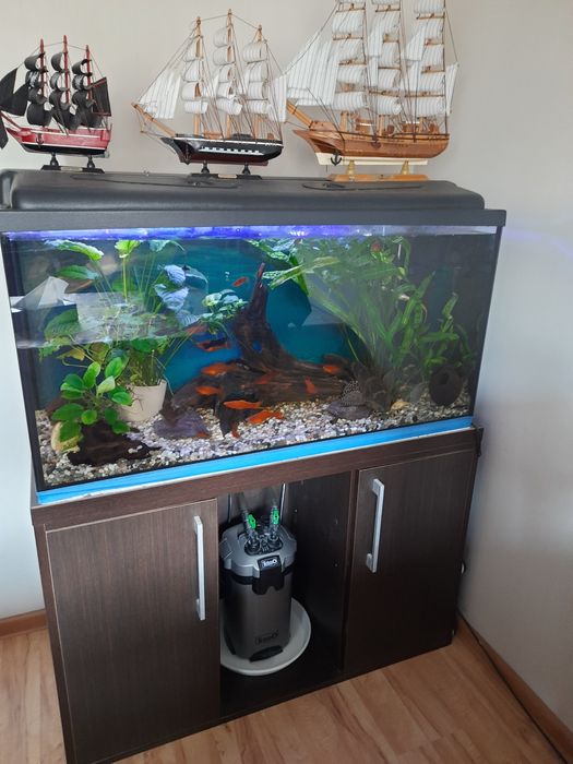 Akwarium 200 litrów z szafką, filtrami  i życiem