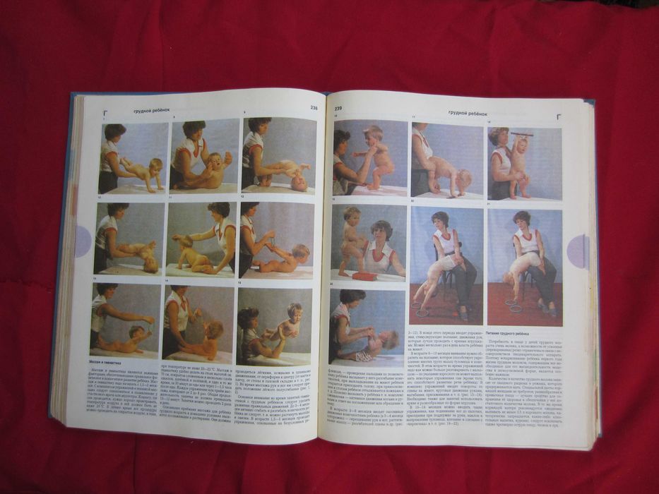 Очень нужная и полезная книга Краткая энциклопедия домашнего хозяйства