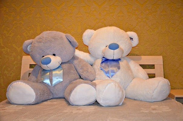 Ведмедик бойд 70, 100, 120, 160, 200 см Великий плюшевий ведмідь