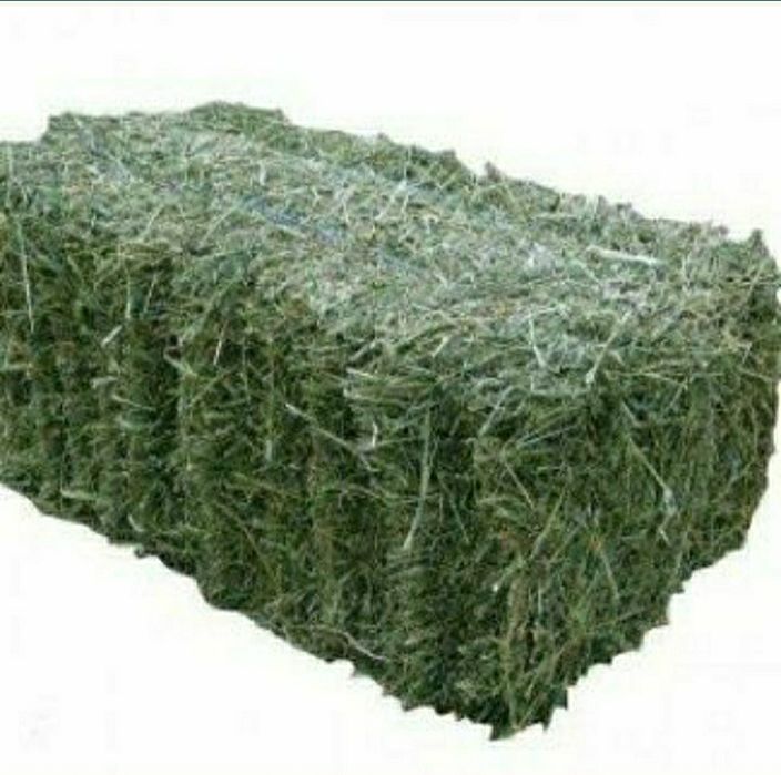 Сіно тюковане лугове