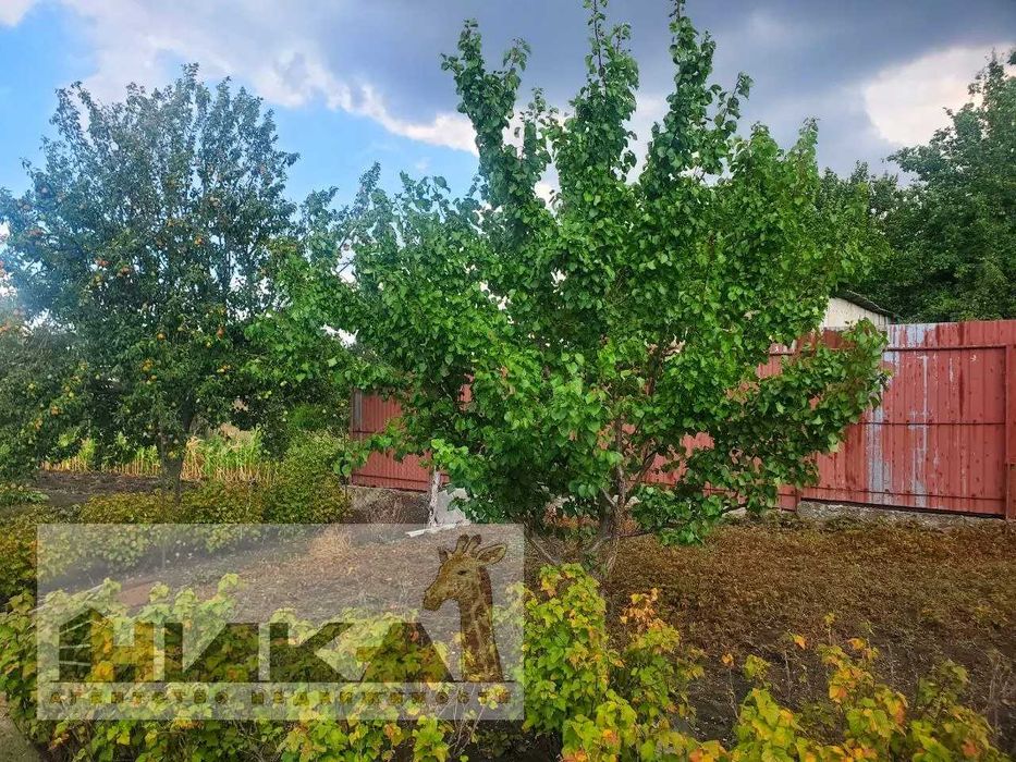 Продам будинок с. Лежине