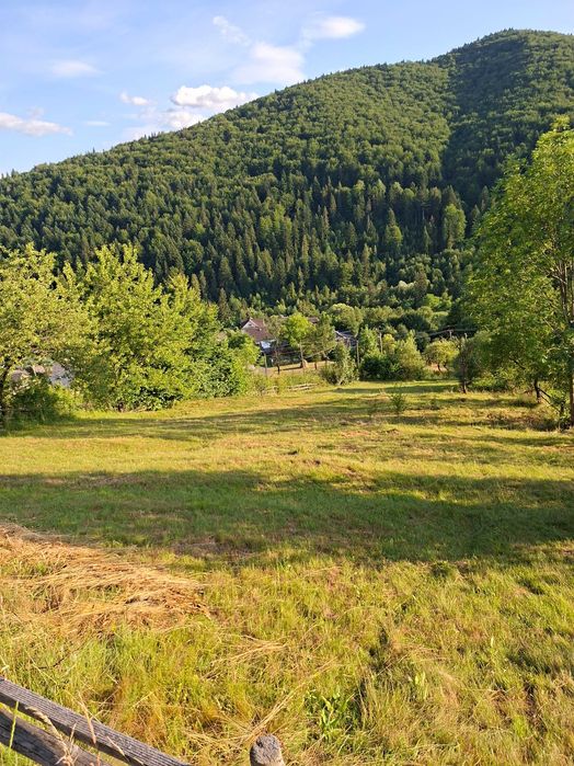 Земельна ділянка