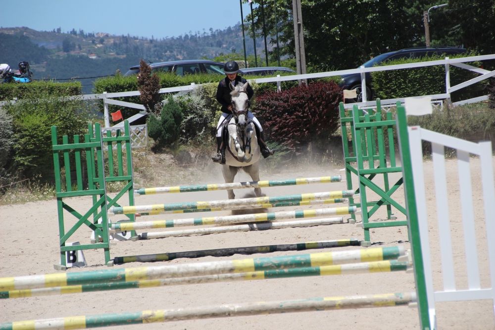 Cavalo com 9 anos a saltar