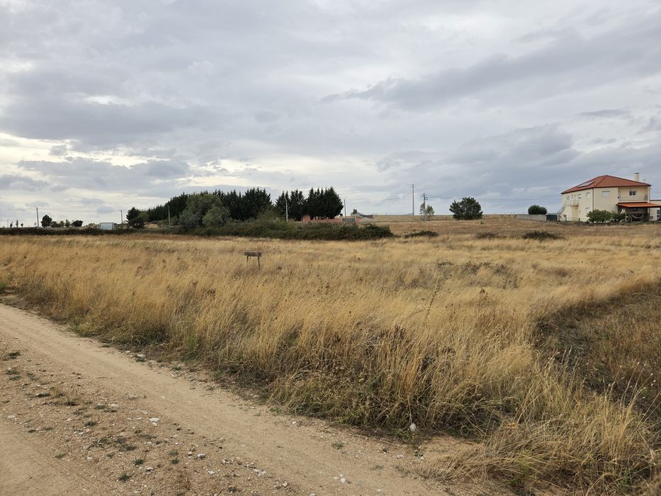 Terreno em sendim