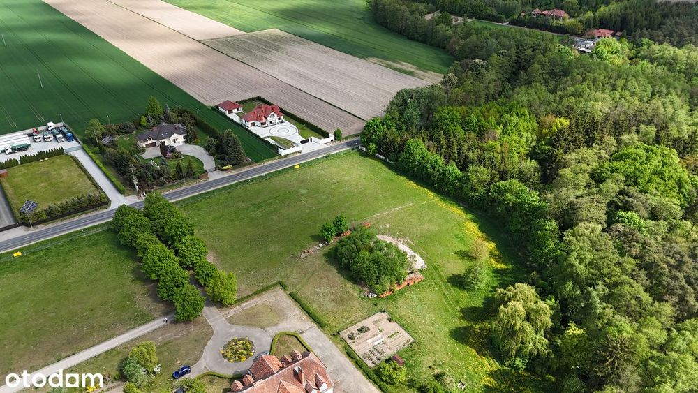Działki budowlane uzbrojone z wydanymi WZ -  Jeziory Wielkie - Widok 3