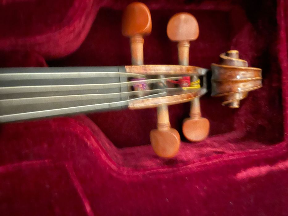 Excelente Viola Moderno 16”