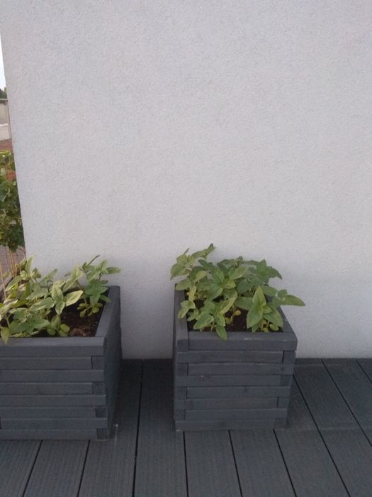 Doniczki Donice Drewniane Na wymiar Drewniane skrzynki skrzynie