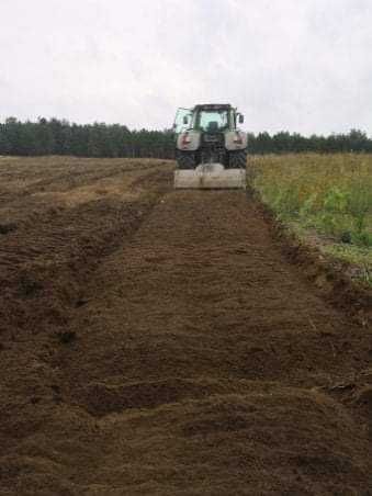 Zakupimy las, wyrąb lasów,wycinka drzew ,rekltywacja 30 c,m