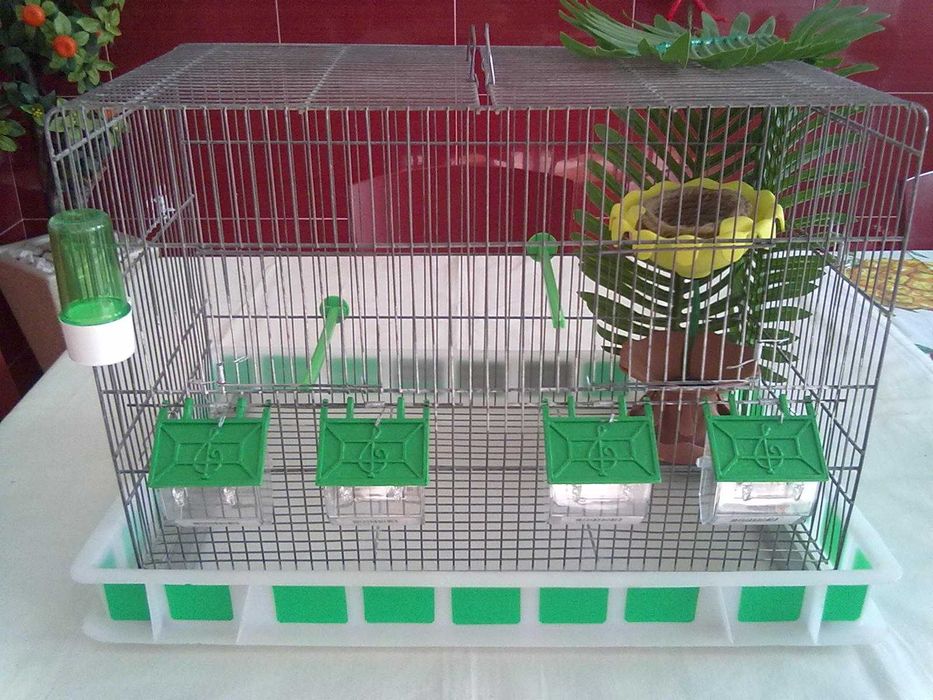 Viveiro de criação completo