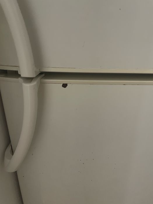 Frigorifico combinado Fagor