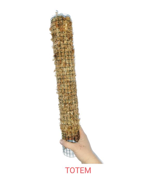Palik totem podpora mech sphagnum 70x5 cm monstera