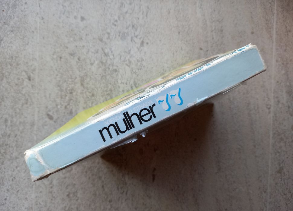 Agenda Ilustrada mulher 77