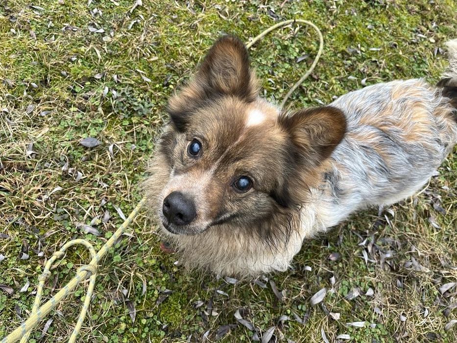 Kolejna zima za kratami i tak od kilku lat. Nikt go nie chce