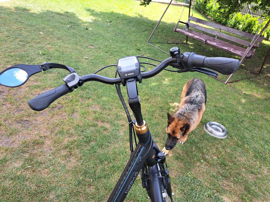 Rower elektryczny Batavus