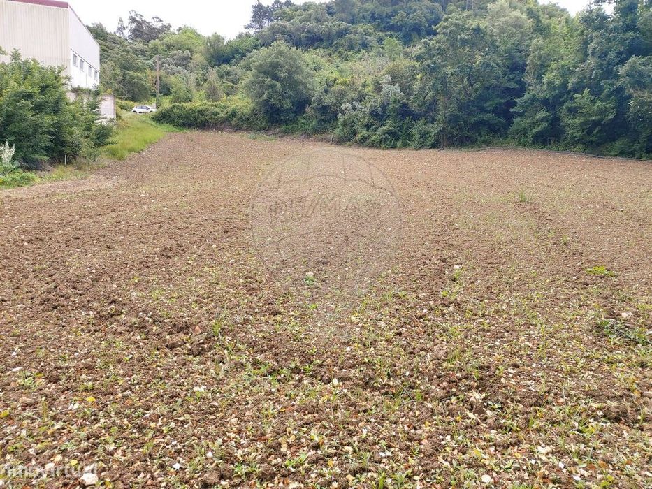 Terreno  para venda