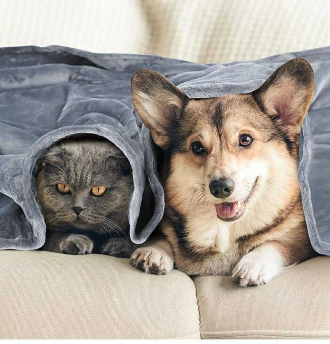 Nobleza wodoodporny koc dla psa M 100/75cm