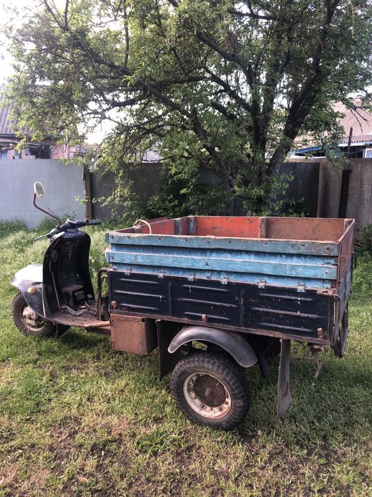 Продається муравей