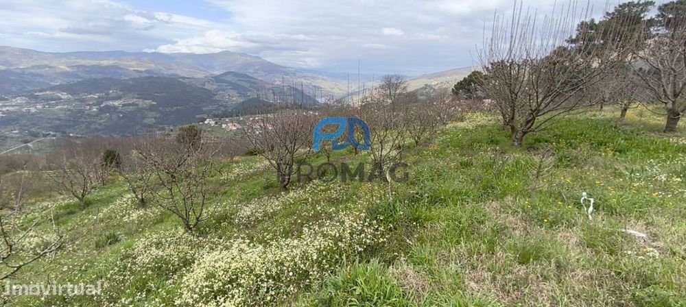 Terreno Urbanizável de 7959 m² com Armazém