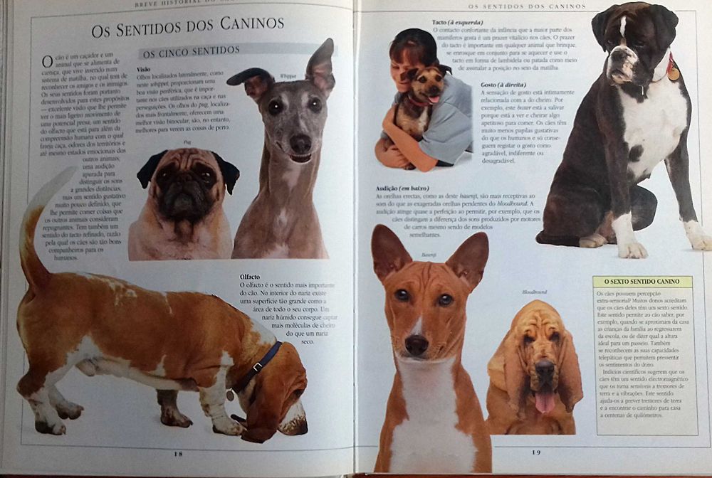 Dr Bruce Fogle. Manual de Tratamento de Cães. Ilustrado. Inclui portes