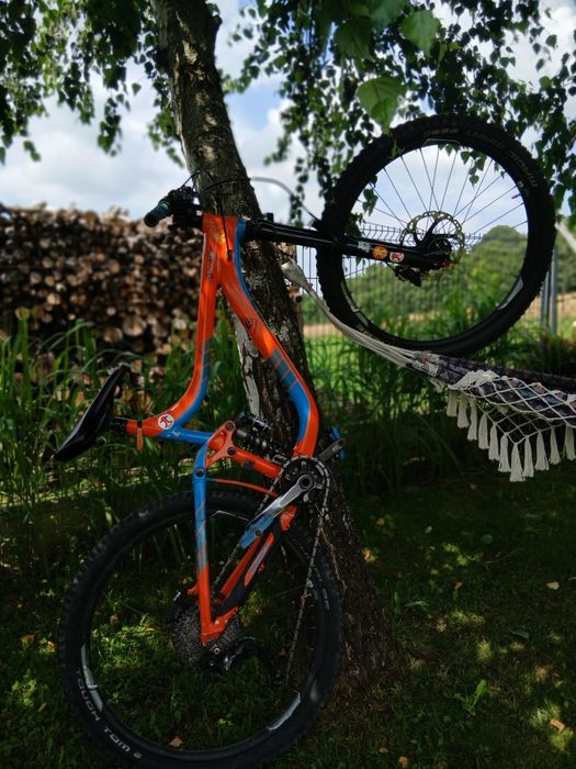 Giant reign Rozm M
