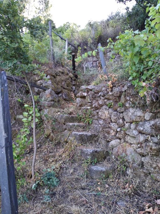 Terreno com 1,2 Hectares e Ruína em Pedra (225m²) – Parada de Cunhos, Vila Real