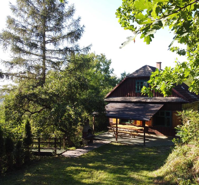 Zdjęcie 2