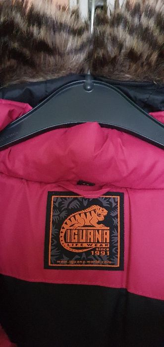 Zimowa kurtka Iguana