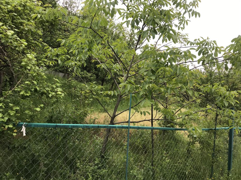 Ділянка з будинком