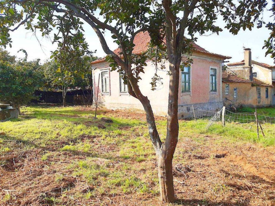 Casa com Terreno - Loureiro/Oliveira Azeméis (Possível Permuta)