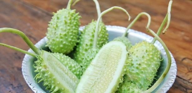 10 sementes de Maxixe64310019979266120