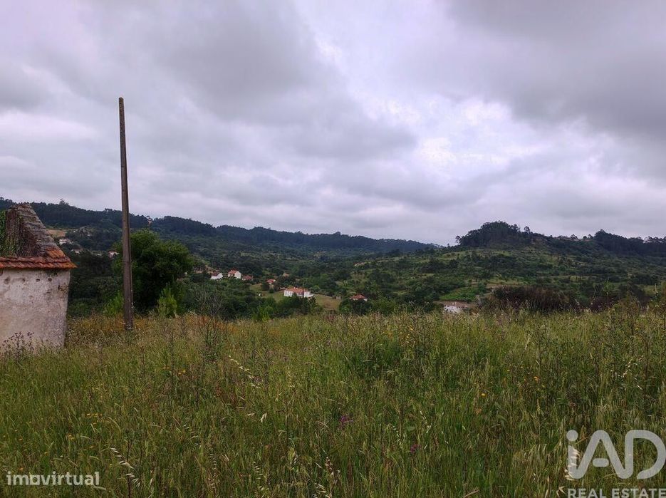 Terreno para construção em Colmeias e Memória de 116,00 m2