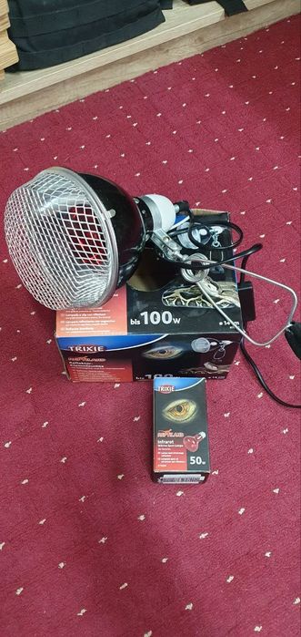 Терраріум, термостат, обігрів та акссесуари. Все для геккона, фельзуми