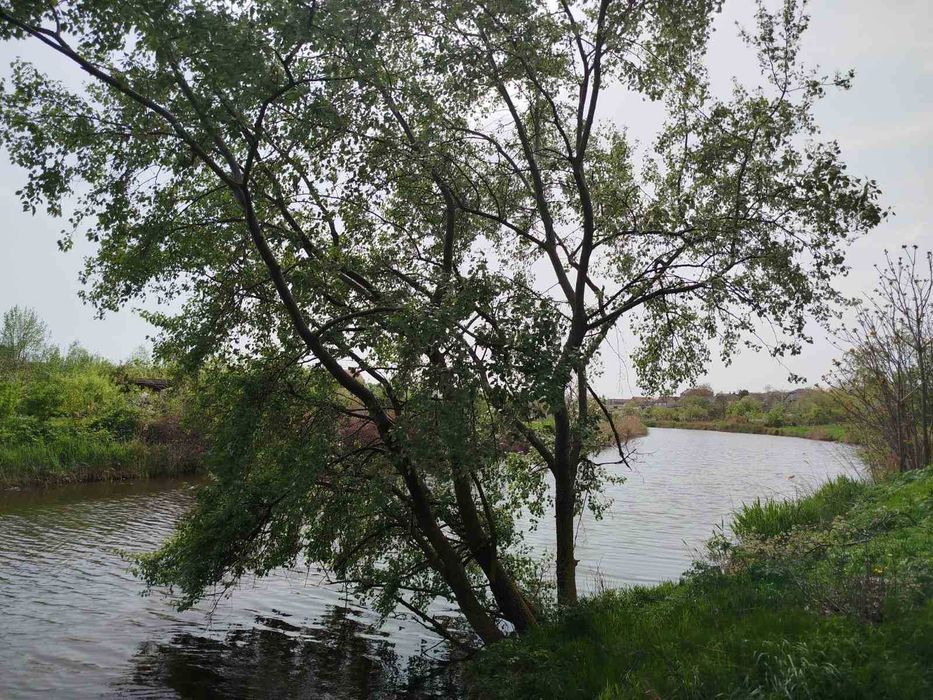 Участок с домом  в самом центре Великодолинского