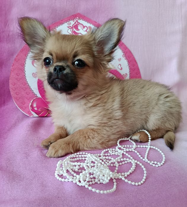 Любов з першого погляду!!!