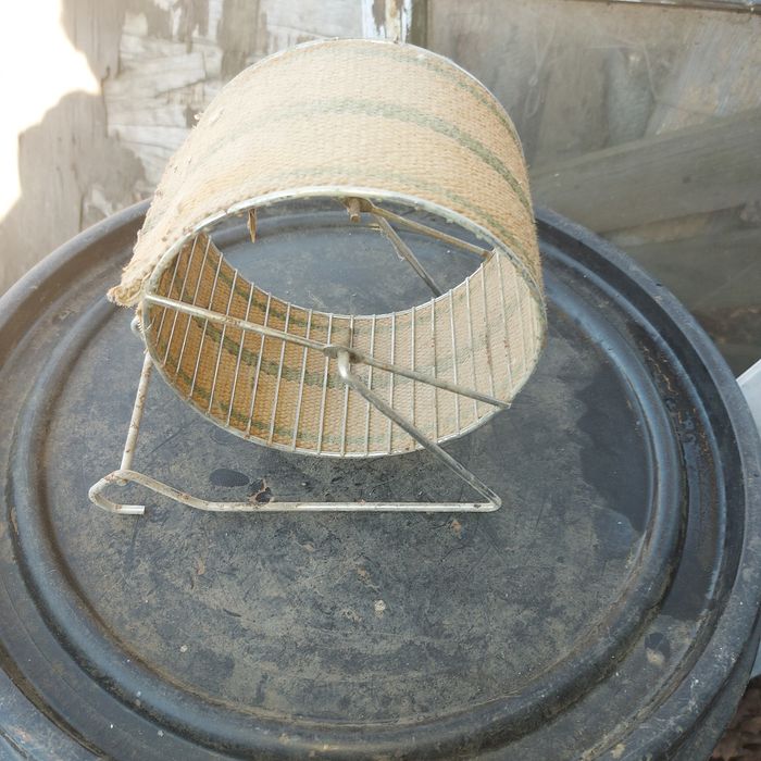 Kołowrotek dla gryzoni