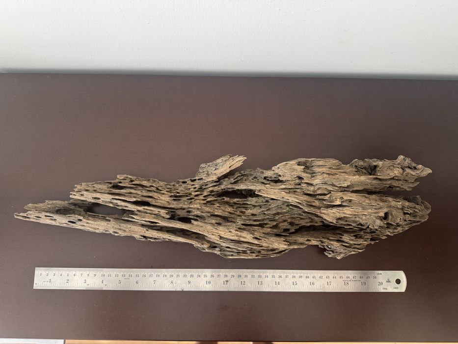 Tronco natural XXL para aquário (61 cm)