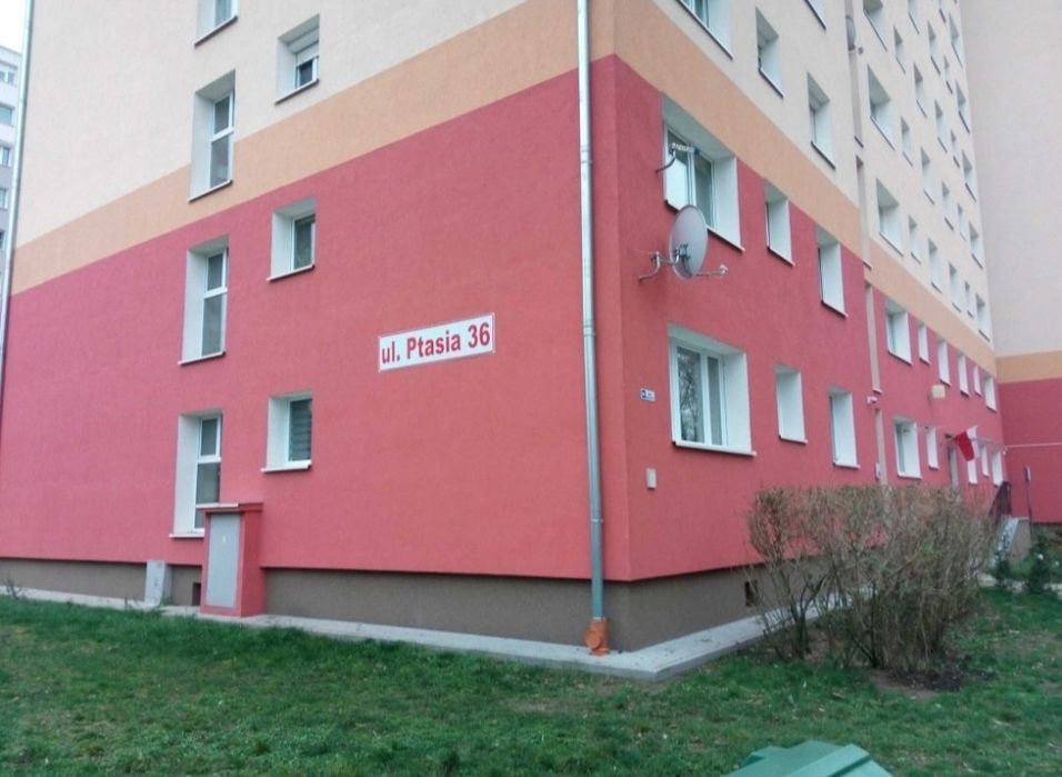 Wynajmę duży pokój od ZARAZ ul.Ptasia ZG - Widok 6