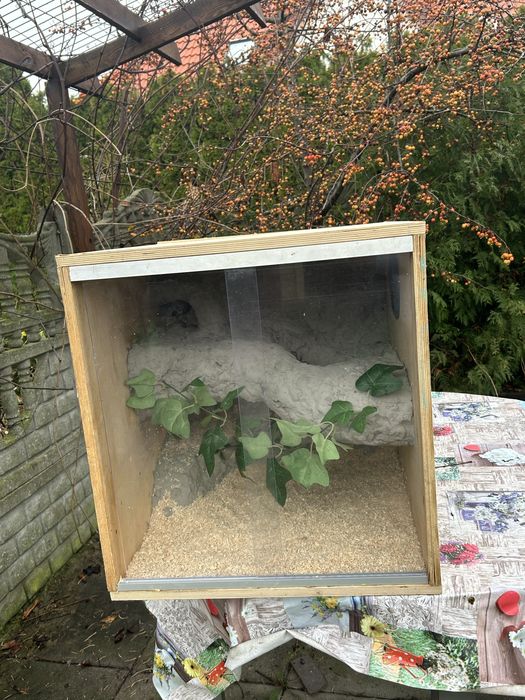 Sprzedam dwa terrairum dla gekona lamparciego