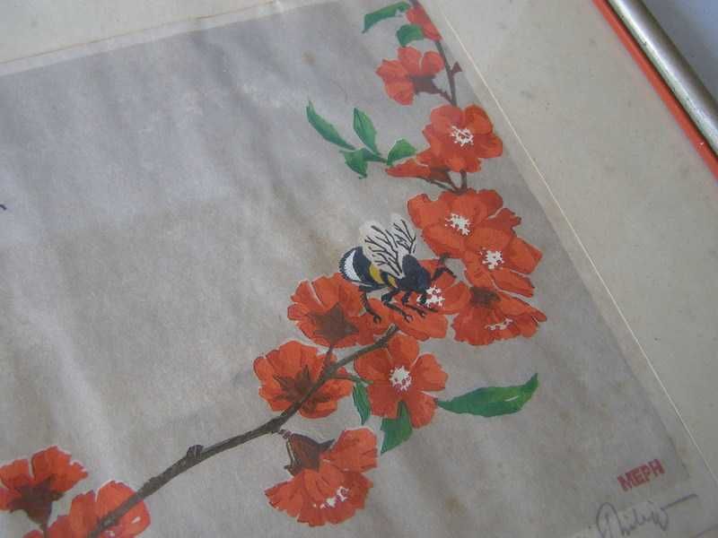 "Pigwowiec japoński " -drzeworyt sygn.Martin Erich Philipp, 1933r.